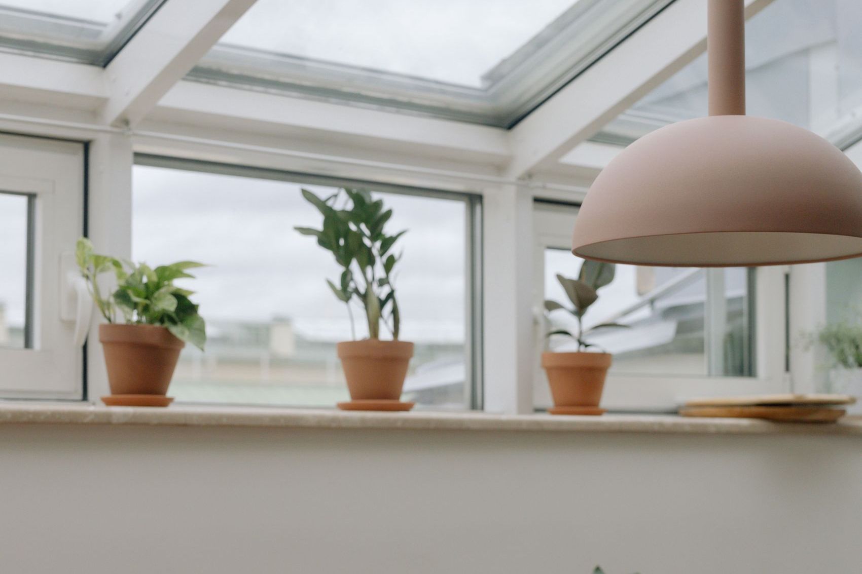 The glazed roof of a conservatory over a dining table